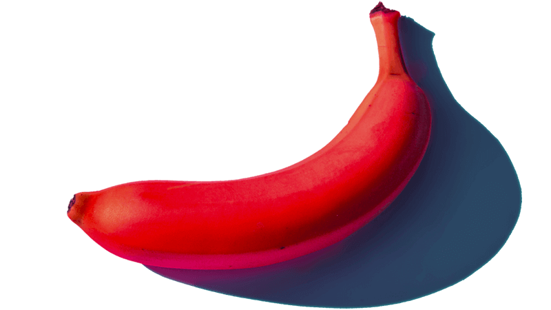 Eyepop Agency Red Banana